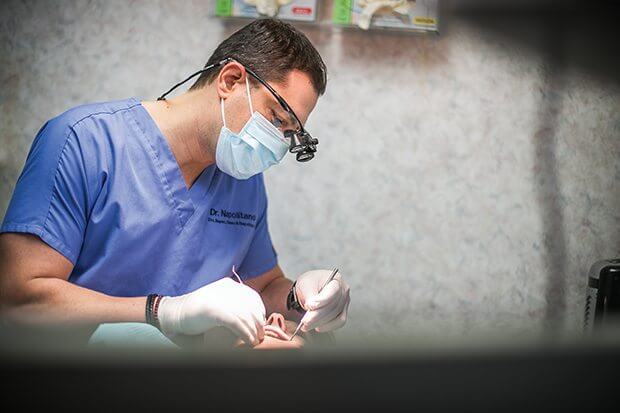 Choosing the Right Dentist for Your Dental Needs Choosing the Right Dentist for Your Dental Needs