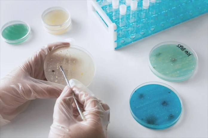 How Lab Testing Plays a Role in Diagnosing Health Issues How Lab Testing Plays a Role in Diagnosing Health Issues