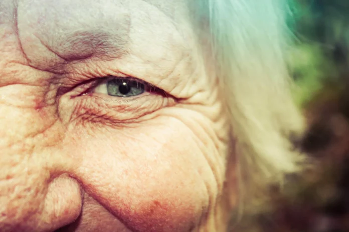 The Connection Between Macular Disease and Overall Eye Health The Connection Between Macular Disease and Overall Eye Health