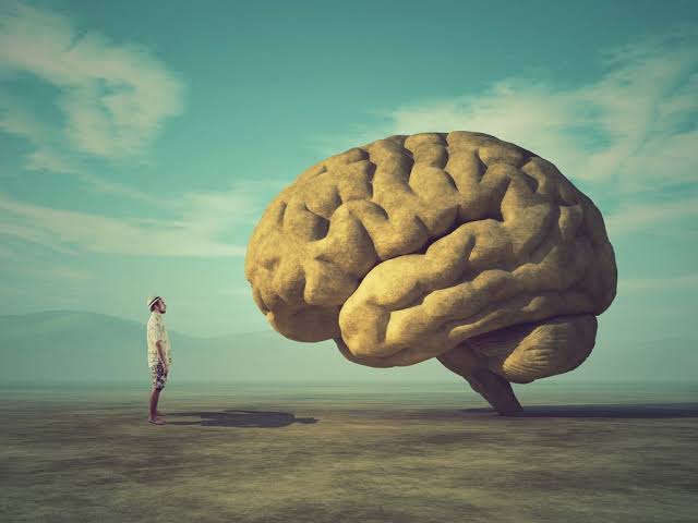 Understanding PTSD Triggers and Their Effects Understanding PTSD Triggers and Their Effects