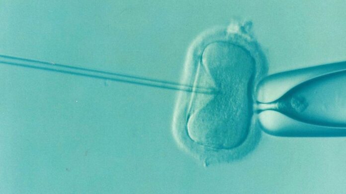 Understanding the Role of Age in Fertility Challenges Understanding the Role of Age in Fertility Challenges