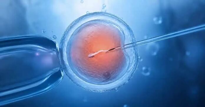 How IVF Success Rates Change With Age and Ovarian Reserve How IVF Success Rates Change With Age and Ovarian Reserve